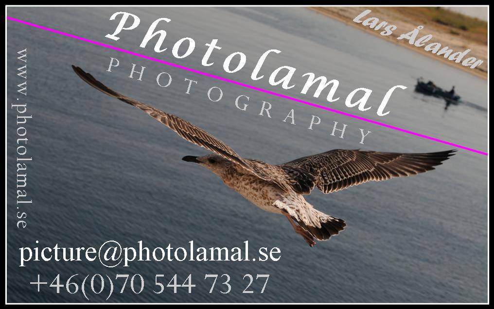 Photolamal, Fotograf: Lars &Aring;lander, picture@photolamal.se , mobil: 0705447327